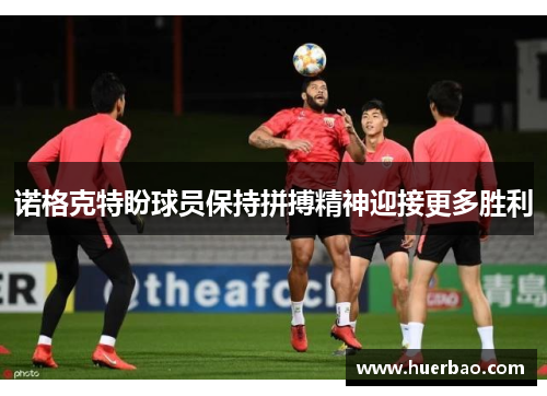 诺格克特盼球员保持拼搏精神迎接更多胜利